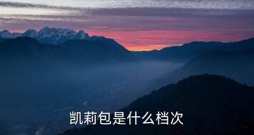 愛馬仕鉆凱里包...